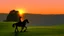 Placeholder: Silhouette of a lone horseback rider on the green hill at sunrise