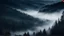Placeholder: fir forrest,night in a valley,mist shadows,spring season,reflections,dramatic scene