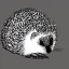 Placeholder: hedgehog cute cartoon simple black and white