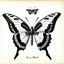 Placeholder: Ernst Haeckel inspired natural history atlas plate, newly discovered butterfly species, wings entirely formed from translucent skeletonized leaves with authentic botanical venation replacing butterfly wing membranes, perfectly symmetrical morphology, scientifically documented specimen, nineteenth century scientific engraving, ultra fine ink linework, delicate cross hatching, restrained watercolor on aged ivory paper--ar 4:5 --raw --v 7 --stylize 170 --profile unnntwo --profile o5l6gpf --profile
