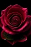 Placeholder: generate an image of rose flower having due on it