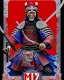 Placeholder: Samurai man intricate ink art hyper-detailed full frontal view maximalist red blue legs 4k