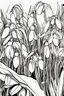 Placeholder: outline art of Snowdrops only black and white, no colour , White background. sketch style, clean line art, white background, no shadow and clear, no people, no colour, for book