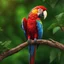 Placeholder: Scarlet Macaw bird, trees, ultra quality, hyper detailed, digital art, 3D 8k