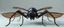 Placeholder: A digital photograph of a spider fly stealth-fighter-jet hybrid with psionic abilities, 8 eyes, layered, 64k, anatomically correct, 3d, organic surrealism, photorealistic, steampunk, biopunk, cyberpunk, retrofuturism, bilateral symmetry