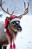 Placeholder: christmas raindeer snowy