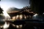 Placeholder: futuristic Iranian theatre with parametric wooden outer skin, vernacular architecture, in the marsh, Water lily, wooden structure, sloped roof, wealth of flora, with dancing performance, fog and rain, light ray