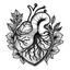 Placeholder: coloring pages for kids, Blooming anatomical heart, fantasy art , cartoon style, thick lines, low detail, black and white, no shading, --ar 85:110