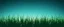 Placeholder: green grasses silhouette across bottom, illustration