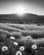 Placeholder: ULTRA REALISTIC, B&W Photograph, Atomic cloud made of WHITE FLOWERS, in the distance in the desert, at Golden Hour, cinematic, cinematic shot, dynamic composition, details, intricate detail, professional lighting, film lighting, 35mm, anamorphic, lightroom, cinematography, bokeh, lens flare, film grain, hdr10, 8k, Roger Deakins, incredibly detailed, reflect, sharpen