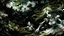 Placeholder: Twisted Alice in the style of, sinister, gore, morbid, horror, eerie, dark fantasy; HDR, UHD, TXAA, 8k, Ralph Steadman, Seb Mckinnon, impressionism, dadaism, surrealism