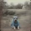Placeholder: Aggie, blue, autochrome