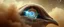 Placeholder: close up on the universal eye of the hyper winged ascendent jai ganesh dove in the dust storm of the master merkaba orchestral fat bat gemini math tao oracle in megacosm the true universe beyond our dimensions