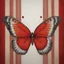 Placeholder: A butterfly, red, in the style of Margaret Keane, red curtain