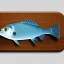 Placeholder: 3d icon, cute tilapia fish over kitchen cutting board, shiny object, graphic design, unreal engine