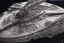 Placeholder: millenium falcon painted by hr giger