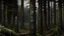 Placeholder: A black dark forest filled with Pacific Northwest totem poles painted by George Inness