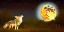Placeholder: Coyote howling at the blue moon with stars