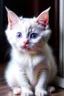 Placeholder: a white cute kitten