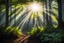 Placeholder: Realistic forest landscape and background sun rays entering between the leaves of the tree branches,DSLR camera Sony Alpha 7 50mm 1.8,medium shot,high-resolution image with fine details