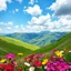 Placeholder: beautiful Green hills covered with flowers colorfull ,blue sky pretty clouds ,very nice flowers at closeup ,wonderfull mountains at distance