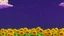Placeholder: purple sky full of stars, sunflower field, anime