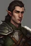 Placeholder: half elf male, ranger knight, in baldur's gate portrait style.