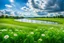 Placeholder: a big dance grass field in country side environment ,green field ,flowers , small river,blue sky pretty clouds ,camera looking at horison