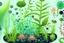 Placeholder: plant-loving microbes