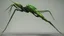Placeholder: matrix mantis