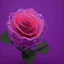 Placeholder: transparent multicolor crystal rose