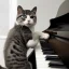 Placeholder: photo of a cat playing piano