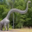 Placeholder: Brachiosaurus