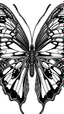 Placeholder: Black and white Butterfly clip art