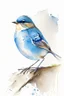 Placeholder: watercolor painting of a small bird. White background. Fine lines. Realistic bird. Blue bird.