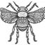 Placeholder: outline art for instects for adults with housefly , white background, Sketch styl, only use outline. clean line art, no shadows and clear and well outlined, Intricate Patterns and Details