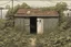 Placeholder: shed, overgrown apocalyptic, background, comic book,