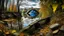 Placeholder: graffiti of an eye painted on a ruined wall, in the middle of an autumn landscape with a river in the foreground on which it is reflected