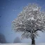 Placeholder: snow tree with birds