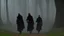 Placeholder: black robe hooded monks on the forest path