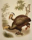 Placeholder: John James Audubon-like illustration of a fully uncropped Dodo bird and a Platypus in a chinoiserie landscape of warm yellows, warm reds, and warm blues