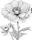 Placeholder: real massive only Anemone flower, coloring page, no leaves, full body (((((white background))))), only use an outline., real style, line art, white color, clean line art, white background, Sketch style