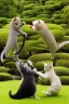 Placeholder: martial artist cats fighting in a Japanese garden