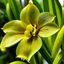 Placeholder: Orchid yellow