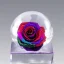 Placeholder: transparent multicolor crystal rose