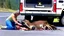 Placeholder: lady giving CPR to injured deer on highway I90 in front of a LARGE BUDGET MOVING Truck