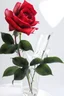 Placeholder: roses in clear vase, photograph