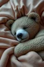 Placeholder: realistic sleeping bear, like a photo, sweet dreams, calm, realistic, as in image on a sleeping blanket