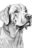 Placeholder: ((A coloring page of {Realistic Labrador Retriever} )), (masterpiece), (coloring page), line art drawing, minimalist, graphic, (line art), vector graphics, Clear and Distinct Lines, Intricate Patterns,Varied Line Weights, Smooth curves, Bold outlines, Crisp shapes