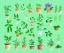 Placeholder: Vector plants and herb set illustration. Watercolor illustration color